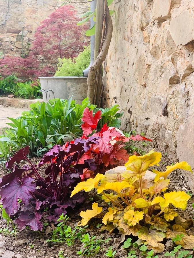 Sainte-Suzanne  Cote Jardin Bed & Breakfast エクステリア 写真
