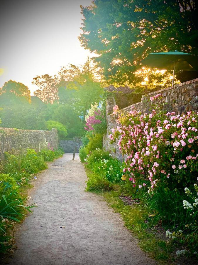 Sainte-Suzanne  Cote Jardin Bed & Breakfast エクステリア 写真