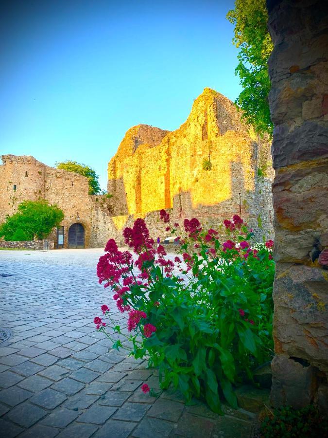 Sainte-Suzanne  Cote Jardin Bed & Breakfast エクステリア 写真