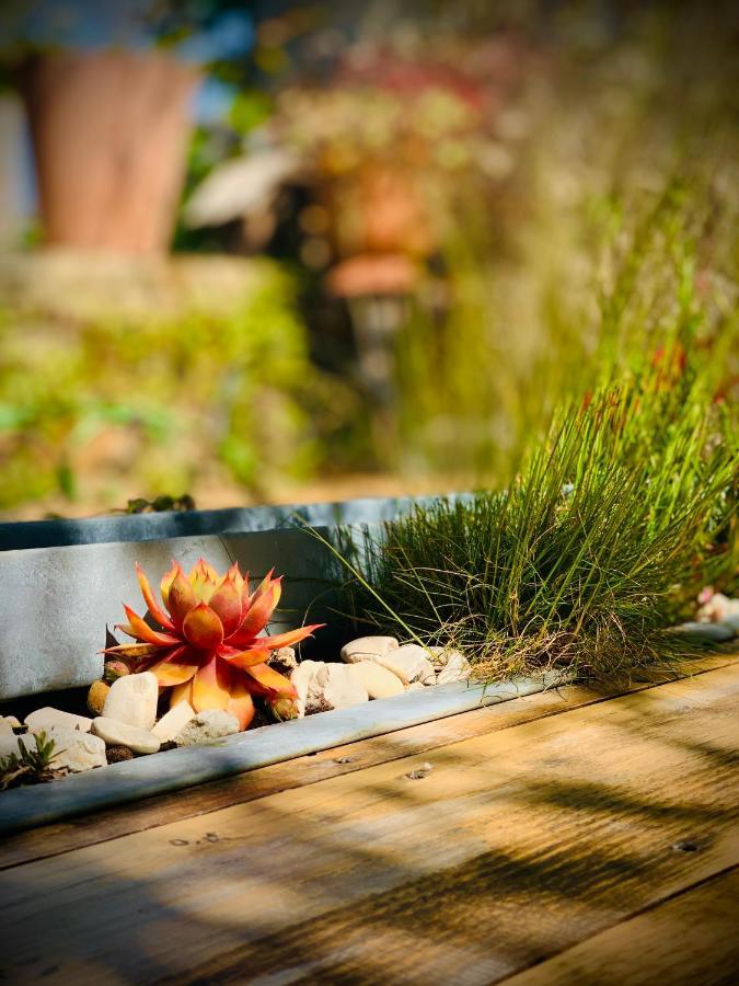 Sainte-Suzanne  Cote Jardin Bed & Breakfast エクステリア 写真